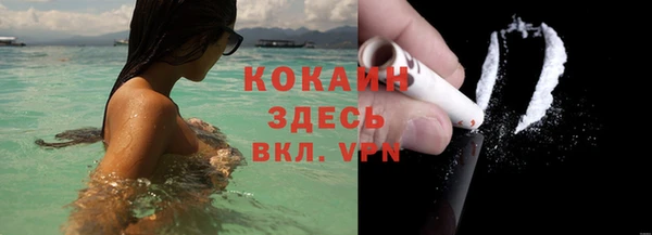мяу мяу мука Кодинск