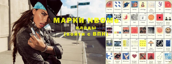 индика Михайлов