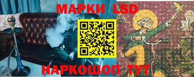 шишки Кандалакша
