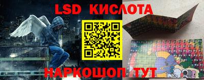 шишки Кандалакша