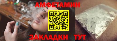 шишки Кандалакша
