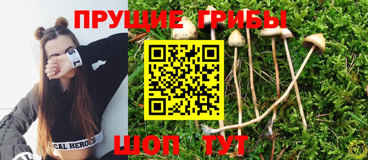 Псилоцибиновые грибы мицелий Лабинск